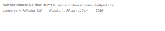 Neither Mouse Neither Human solo exhibition at Forum Stadtpark Graz photography Rolleiflex 6x6 digital print 90 cm x 110 cm 2019